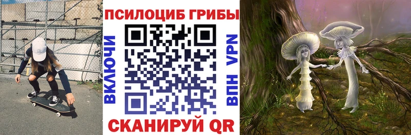 закладки  Северобайкальск  Галлюциногенные грибы мухоморы 